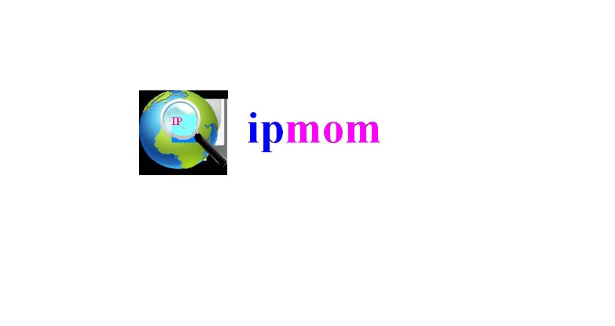 Check Your IP Address with IP Mom